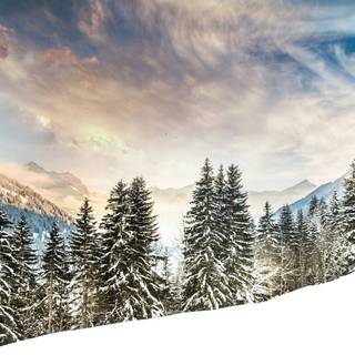 Winter aesthetic desktop HD wallpaper