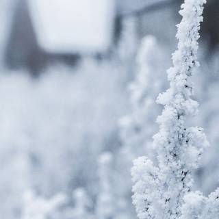 Aesthetic winter iPad wallpaper