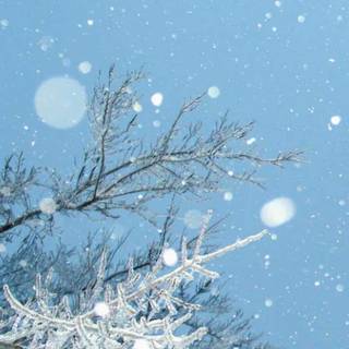 Aesthetic winter iPad wallpaper