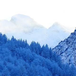 iPhone 14 Pro winter wallpaper
