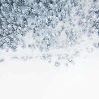 Aesthetic winter iPad wallpaper