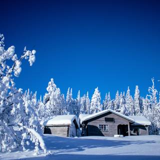 Winter cabin HD wallpaper