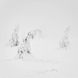 Aesthetic winter iPad wallpaper