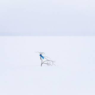 Winter minimalist desktop wallpaper