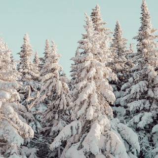 Aesthetic winter iPad wallpaper