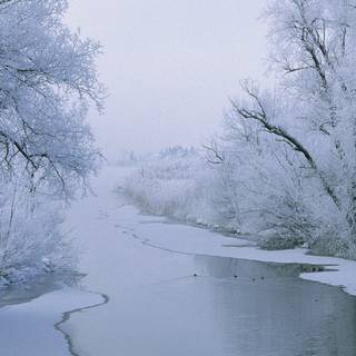 Aesthetic winter iPad wallpaper