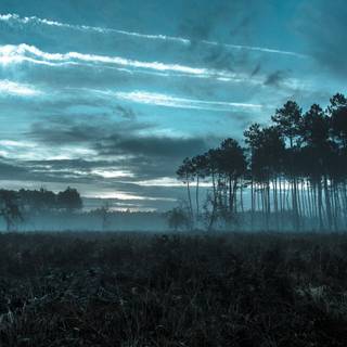 4k blue nature wallpaper