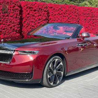 Rolls-Royce La Rose Noire Droptail wallpaper