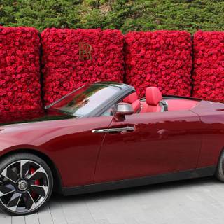 Rolls-Royce La Rose Noire Droptail wallpaper