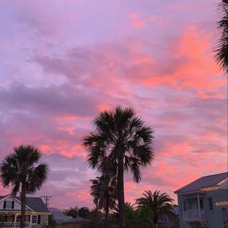 Saint Augustine wallpaper