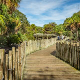 Saint Augustine wallpaper