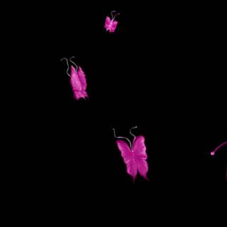 Pink black computer wallpaper