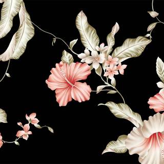 Pink black computer wallpaper