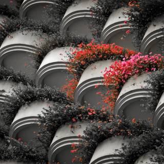 Pink black computer wallpaper