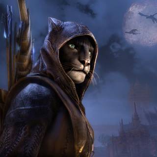 4k Elder Scrolls wallpaper