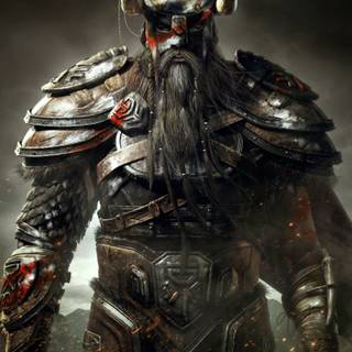 Elder Scrolls 4k phone wallpaper