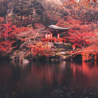 Japan autumn PC wallpaper