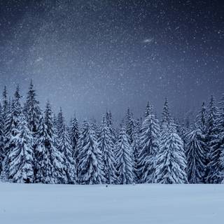 4k winter night wallpaper