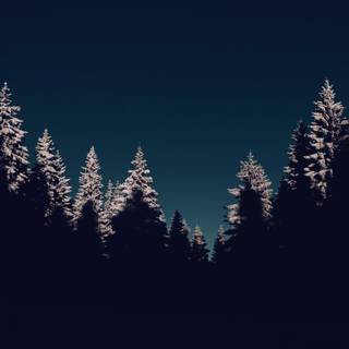 4k winter night wallpaper