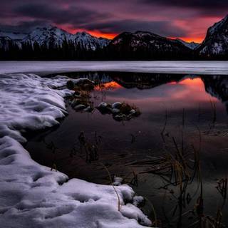 Winter night nature wallpaper