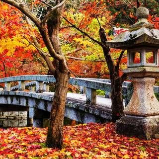 Fall Japan wallpaper