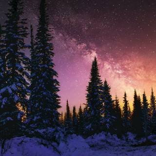 Winter nature 4k wallpaper