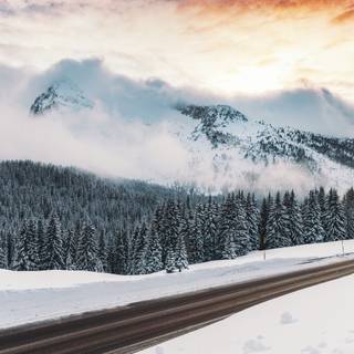 Winter nature 4k wallpaper