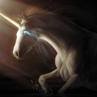 Unicorns 4k wallpaper