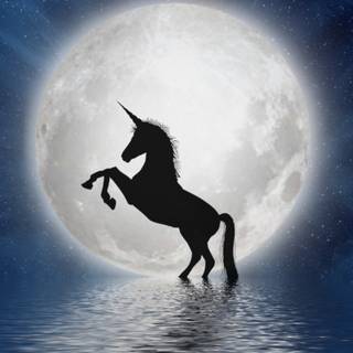 Unicorns 4k wallpaper