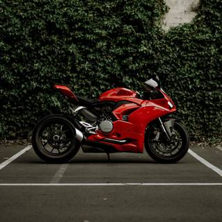 4k Panigale wallpaper