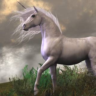 Unicorns 4k wallpaper