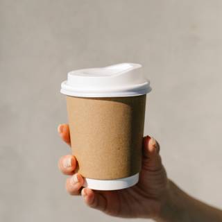 Disposable wallpaper