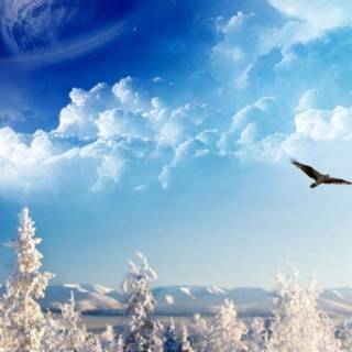 Winter fantasy iPhone wallpaper