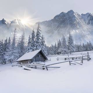 Winter snow house wallpaper