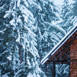 Winter snow house wallpaper