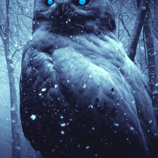 Winter fantasy iPhone wallpaper