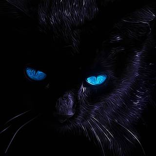 Black cat eyes wallpaper