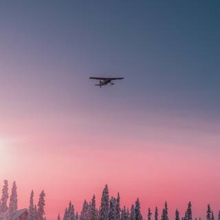 Plane winter wallpaper