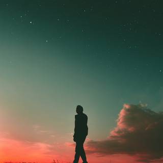 Alone sunset wallpaper