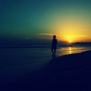 Alone sunset wallpaper