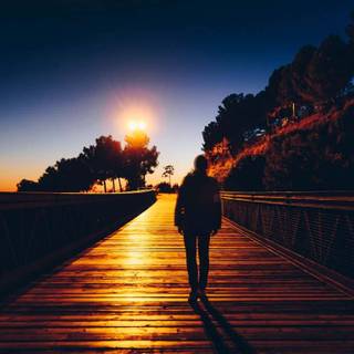 Alone sunset wallpaper