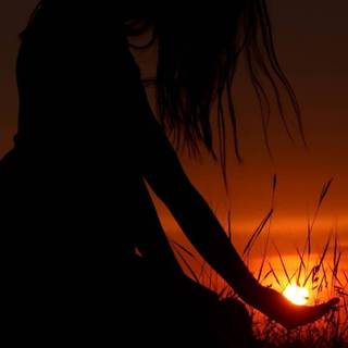 Alone sunset wallpaper