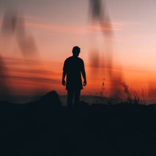 Alone sunset wallpaper