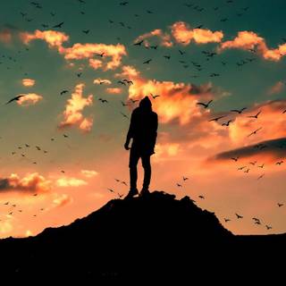 Alone sunset wallpaper