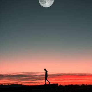 Alone sunset wallpaper