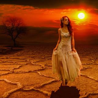 Alone sunset wallpaper