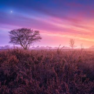 Alone sunset wallpaper