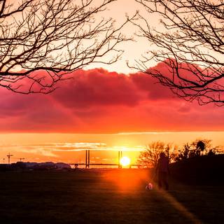 Alone sunset wallpaper