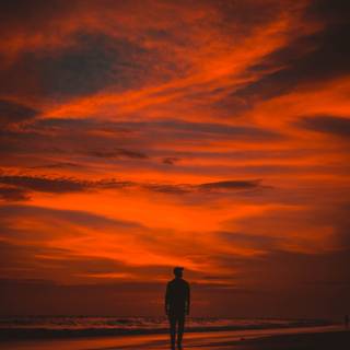Alone sunset wallpaper