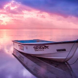 Alone sunset wallpaper